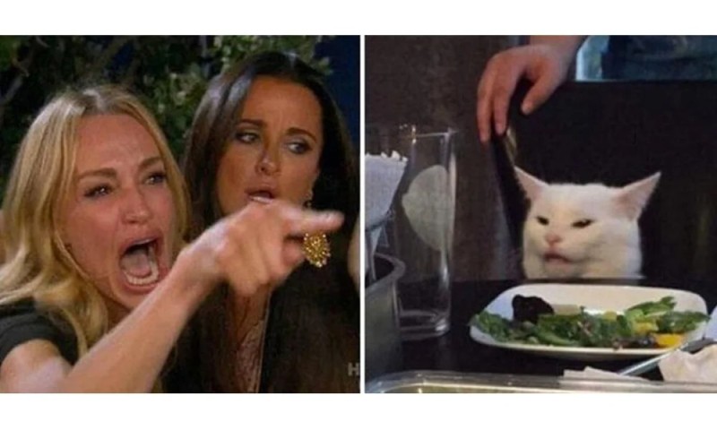 Создать мем: мем кошка, кот и женщина мем, бабы мем
