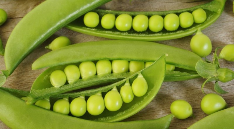 Create meme: peas, varieties of peas, pea plant