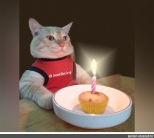 Создать мем: с днем рождения мем кот, кот именинник, кошки смешные