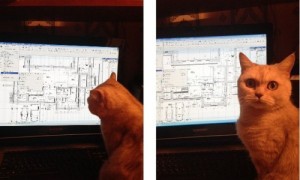 Создать мем: кот инженер, fuck cat, кот мем