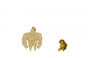 Создать мем: арт качок, качок доге и чимс мем, мускулистая собака