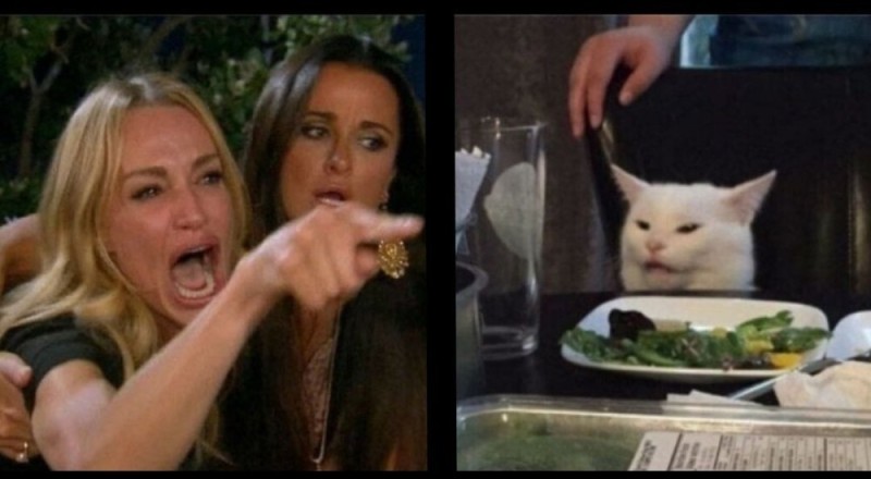Создать мем: женщина кошка мем, мем женщина орет на кота, мем с котом за столом и девушками