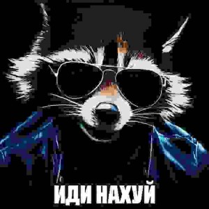 Create meme: raccoon art, evil raccoon, cool raccoon