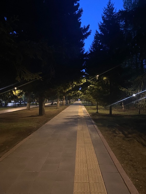 Создать мем: парк сосновый бор, уличное освещение аллеи, в сквер