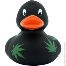 Create meme: rubber duck about truckers, collectible rubber ducks, toy duck black