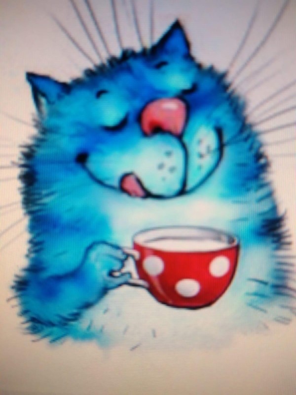 Создать мем: котики доброе утро, синие коты утро, синие коты ирины зенюк