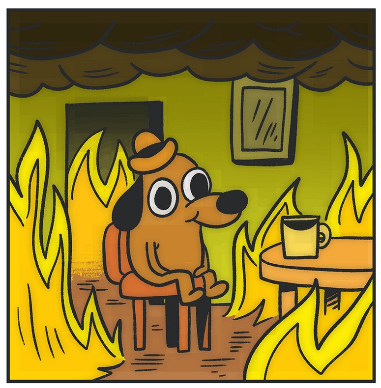 Create meme: meme dog on fire, meme dog in a burning house, a dog in a burning house