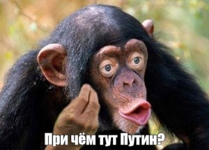Создать мем: обезьяны шимпанзе, обезьяну, обезьяна с губами