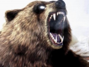 Create meme: Dangerous and toothy, bear, grin bear