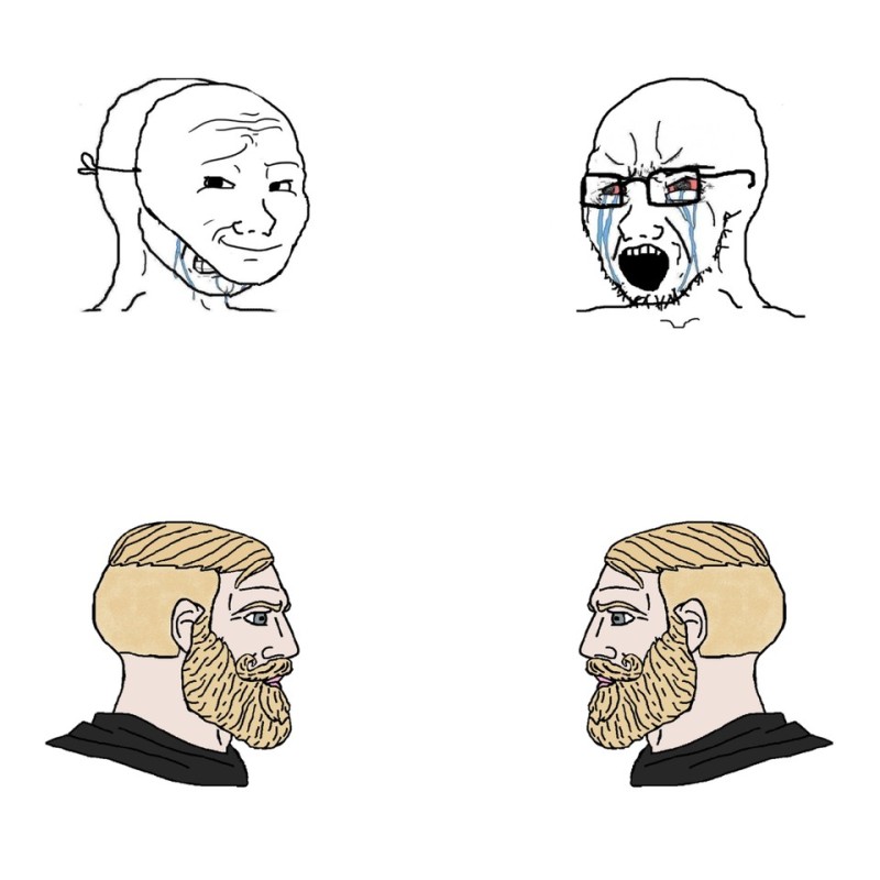 Create meme: bearded man meme, comics memes, bearded meme 