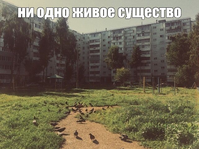 Create meme: nature , panels 2001 sunny atmospheric, abandoned cities of russia