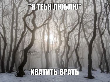 Создать мем: серый пейзаж, темный лес в тумане, туман лес