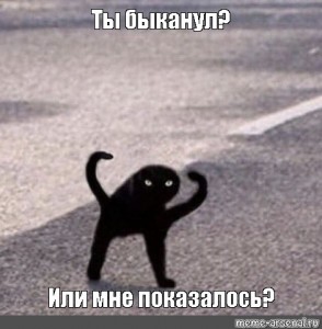 Создать мем: черный кот, черные коты, черный кот ъуъ
