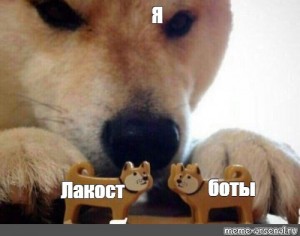 Create meme: dog meme, dog Maxim meme, meme with dog bites