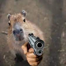 Create meme: rodent capybara, capybara is funny, capybaras 