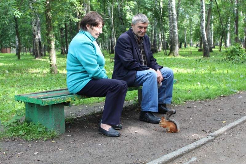 Create meme: Nikolai Drozdov and the squirrel, The fox on the bench, random