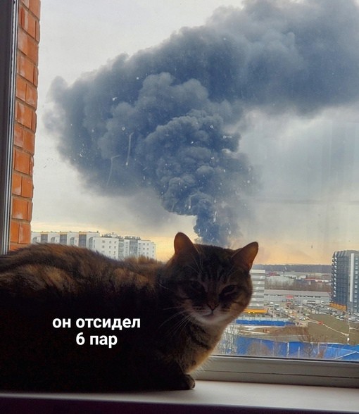 Create meme: the explosion of the building, cat explosion, background of the explosion