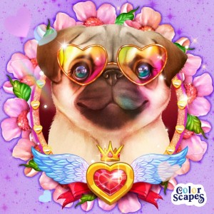 Create meme: pug cute, animals cute, pug