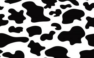 Create meme: spots cows, cow pattern, cow background
