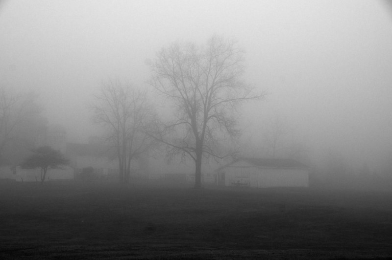 Создать мем: густой туман, туманное утро в деревне, туманный пейзаж
