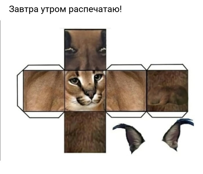Create meme: slap caracal, cat scan, paper animal templates