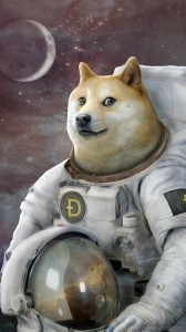Create meme: the dog in the suit, doge, dogecoin
