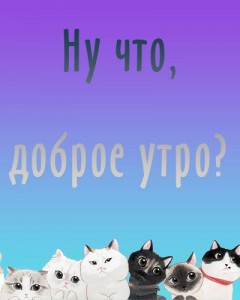 Создать мем: милые котики, коты, фон для визитки с котиком
