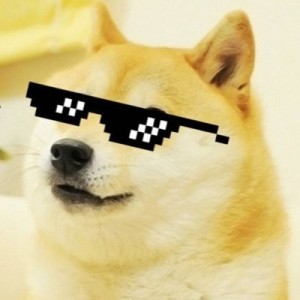 Создать мем: человек в пиксельных очках, кот в пиксельных очках, собака с пиксельными очками