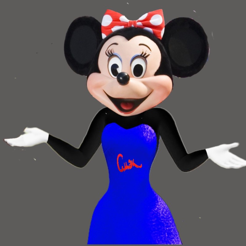 Create meme: Minnie mouse , Mickey mouse , mickey mouse heroes
