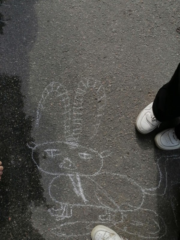 Create meme: drawings on the pavement , chalk drawing, with chalk on the pavement