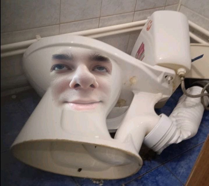 Create meme: toilet and sink, santek toilet, man toilet bowl