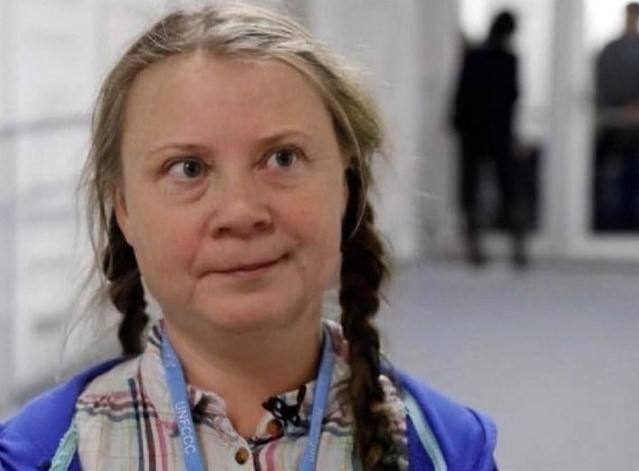 Create meme: Greta Thunberg, greta thunberg person of the year 2019, greta thunberg memes