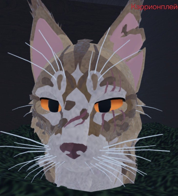 Создать мем: warrior cats ultimate edition roblox, кошка лоу поли, коты-воители