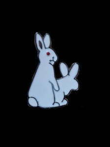 Create meme: Bunny, rabbit, white rabbit