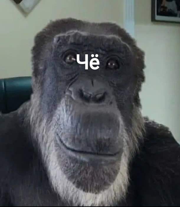 Создать мем: мем обезьяна, обезьяна из мемов, обезьяна звонит