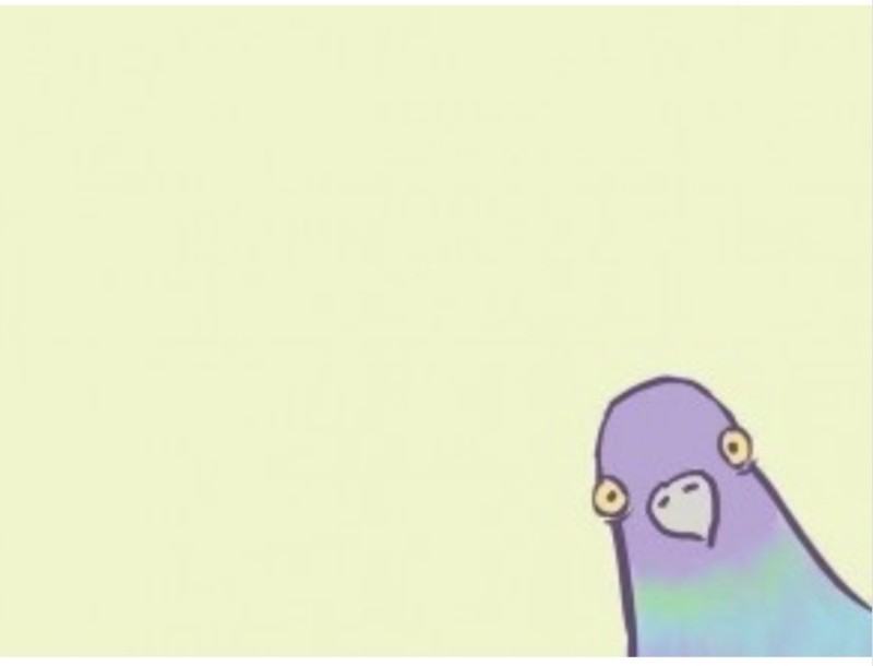 Create meme: pigeon sticker, eating pigeon, pigeon.