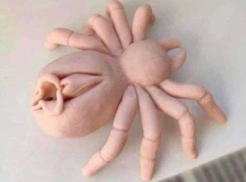 Create meme: modeling crab, modeling a spider from plasticine, soft toy crab