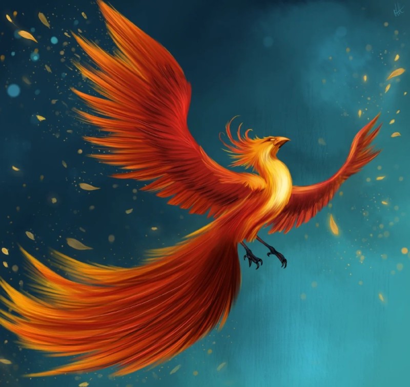 Create meme: phoenix bird, The phoenix is a mythological bird, phoenix bird pencil