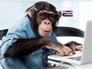 Create meme: smart monkey, monkey in the office, monkey behind a computer