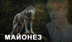 Create meme: memes about wolves, wolf, grey wolf