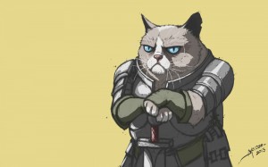 Создать мем: кот рыцарь, кот, коты воины