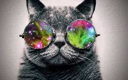 Create meme: Tomcat, cat in glasses, cat