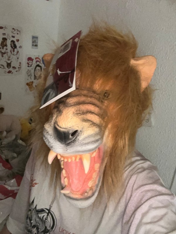 Создать мем: маска льва на голову, маски животных, головы животных