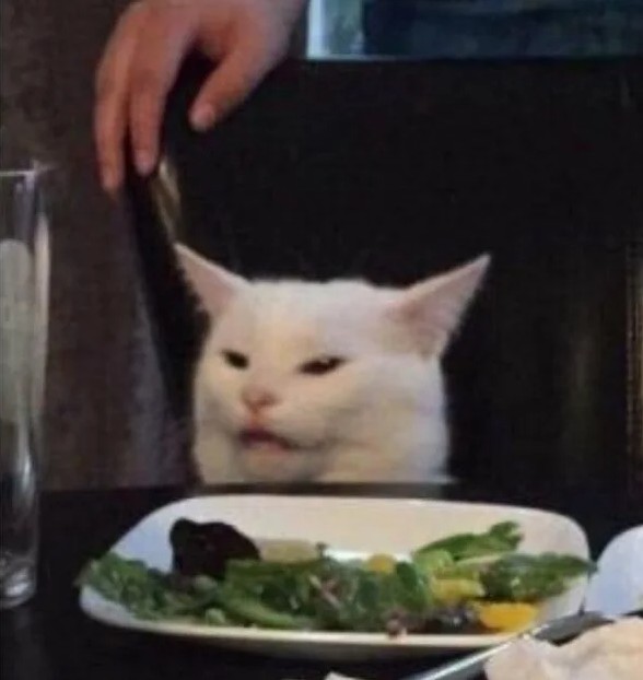 Create meme: cats at the table, The white disgruntled cat from the meme, meme the cat at the table