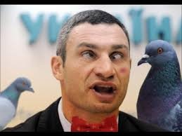 Create meme: Vitali Klitschko, meme pigeon, the mayor of Kiev Vitali Klitschko