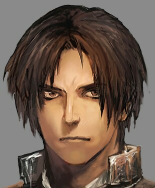 Levi hairstyle