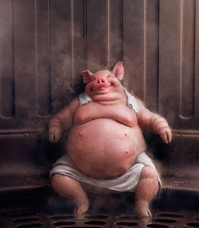 Создать мем: толстый поросенок, смешные свиньи, свинка пеппа