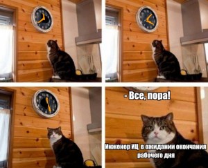 Create meme: the meme with the cat and the clock time, meme the cat and the clock time, and watch cat meme