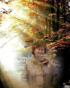 Создать мем: осенний лес, фото нижний новгород бабье лето, autumn tree