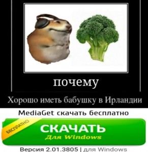 Create meme: broccoli vitamins, frozen broccoli, use broccoli